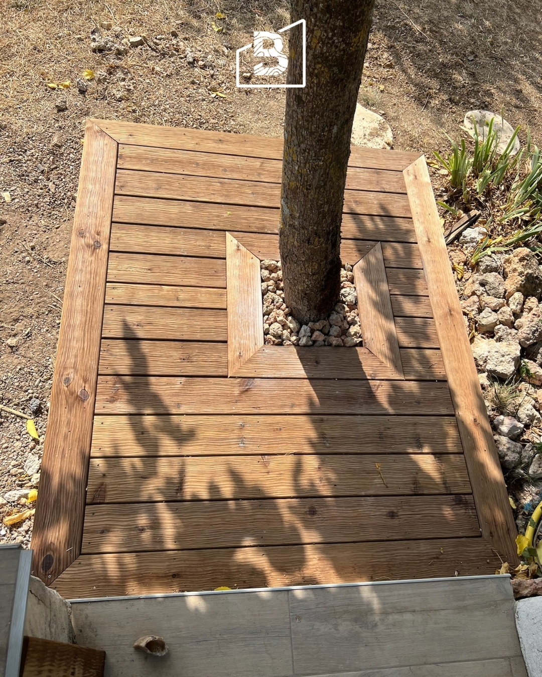 TERRASSE-ARBRE-3